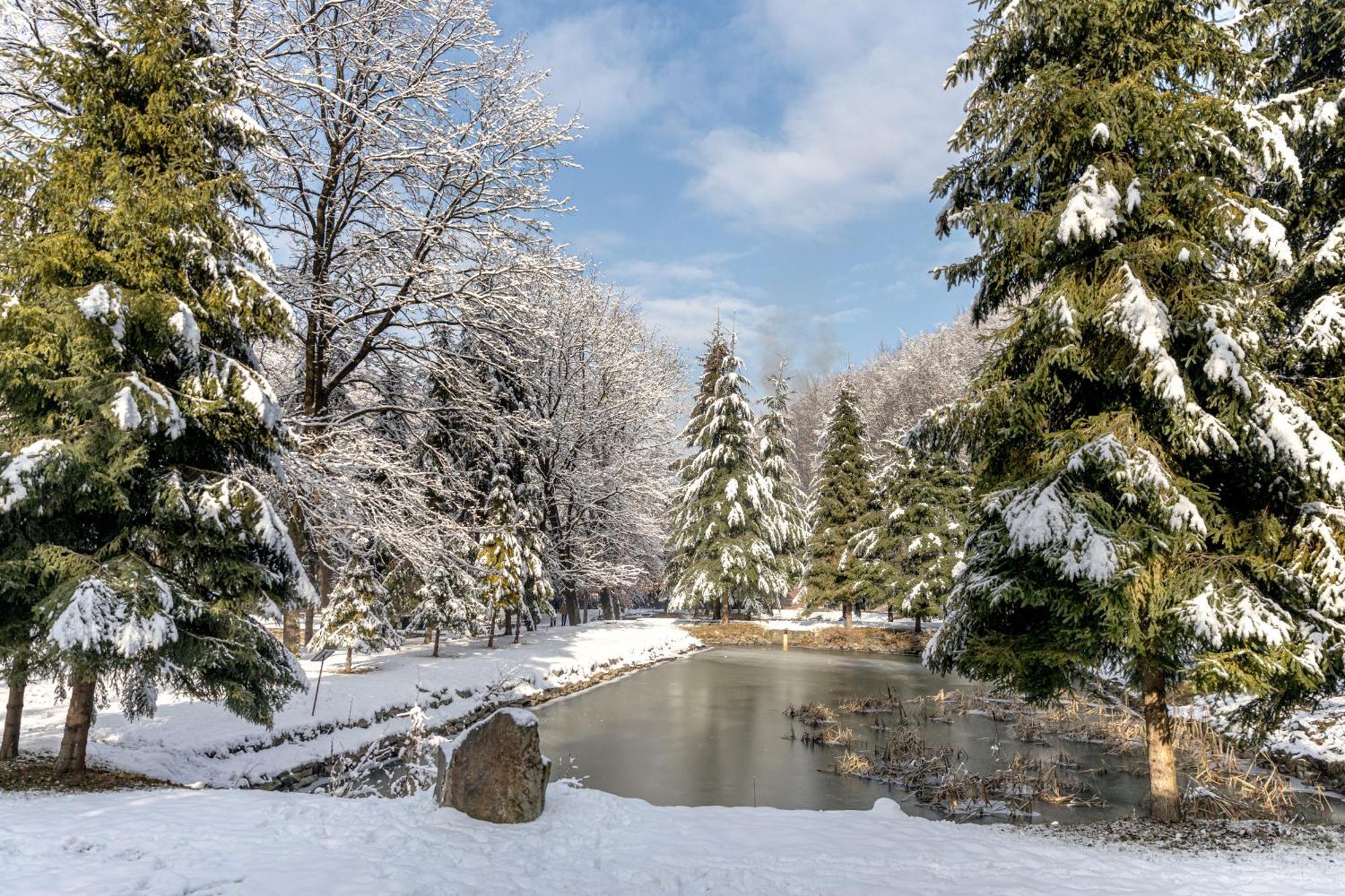 Voevodyno Resort Tur'ya Paseka 외부 사진